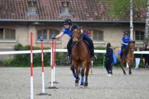 CS-2023.04.30-Berne-Fred-17