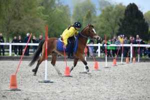 CS-2023.04.30-Berne-Fred-252