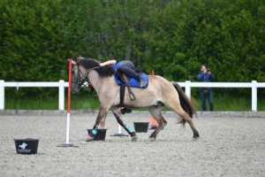CS-2023.04.30-Berne-Fred-30