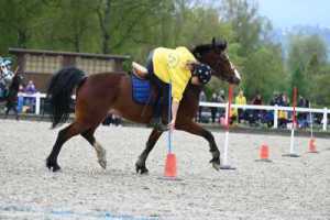 CS-2023.04.30-Berne-Fred-348