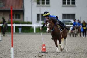 CS-2023.04.30-Berne-Fred-453