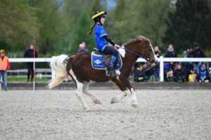 CS-2023.04.30-Berne-Fred-507