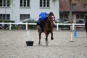 CS-2023.04.30-Berne-Fred-555