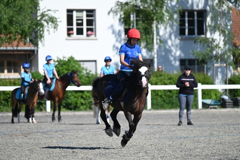 CS-2025.05.11-NPZ-Berne-Blackyland-Fred-8