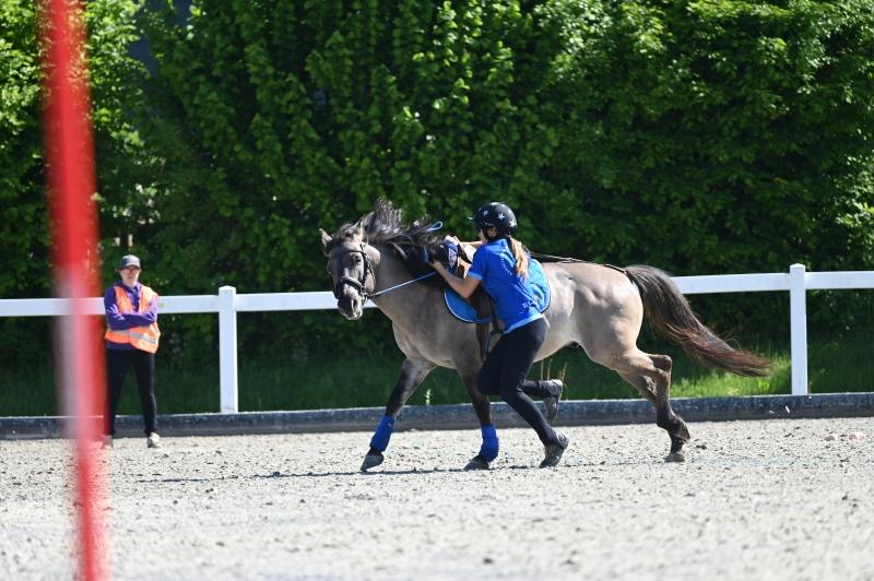 CS-2025.05.11-NPZ-Berne-Blackyland-Fred-88