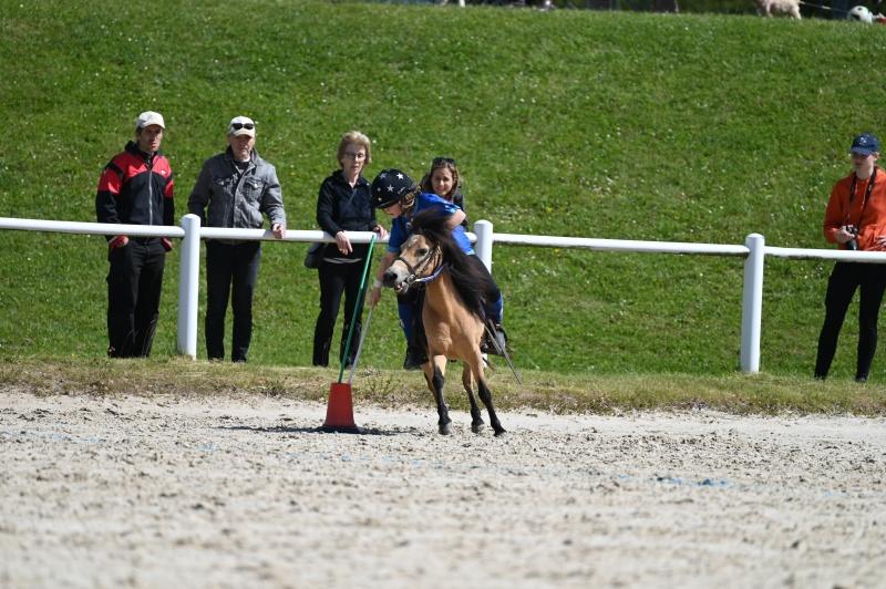 CS-2024.06.16-Chalet-a-Gobet-Fred-15