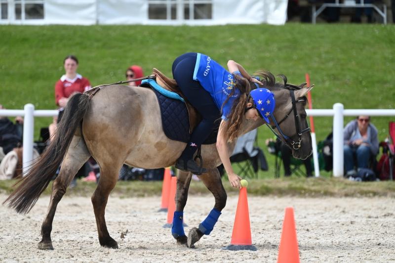 CS-2024.06.16-Chalet-a-Gobet-Fred-250