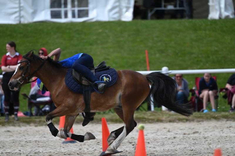 CS-2024.06.16-Chalet-a-Gobet-Fred-254