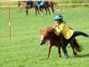 DSCF6674