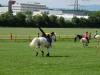 DSCF7054
