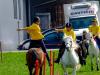 DSCF7990