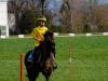DSCF8688