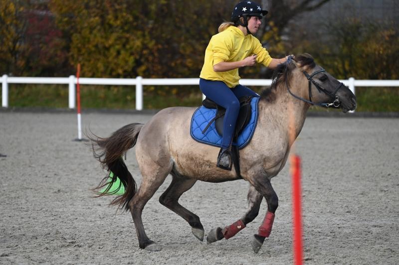 CS-2023.11.19-Berne-Fred-414