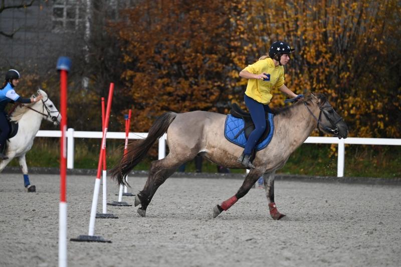 CS-2023.11.19-Berne-Fred-437