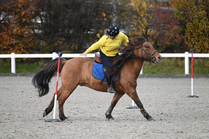 CS-2023.11.19-Berne-Fred-447