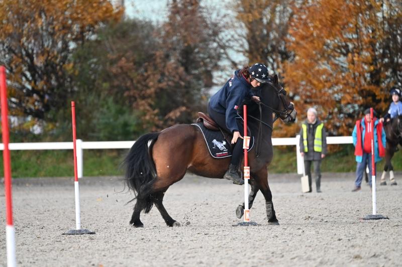 CS-2023.11.19-Berne-Fred-456