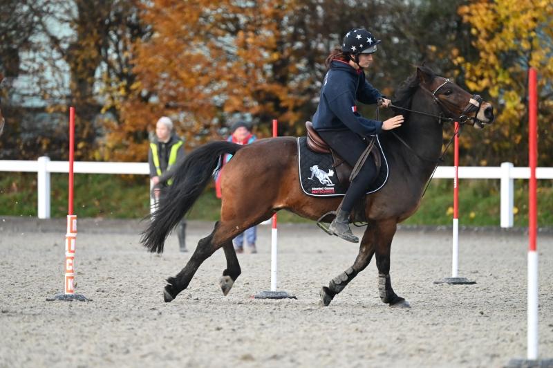 CS-2023.11.19-Berne-Fred-458