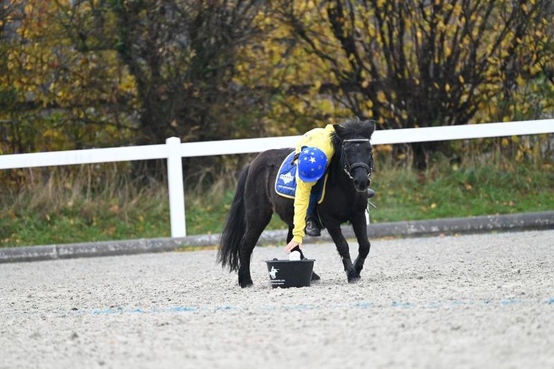 CS-2023.11.19-Berne-Fred-47