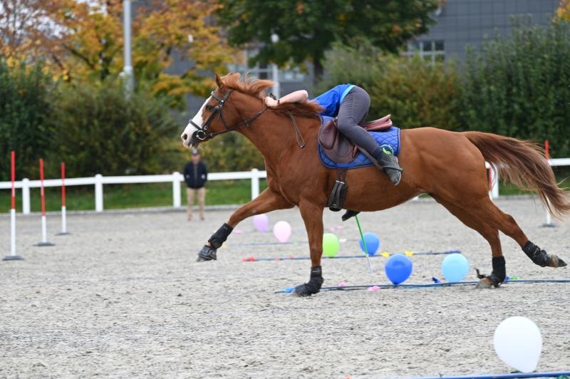 CS-2024.10.20-NPZ-Berne-Fred-100