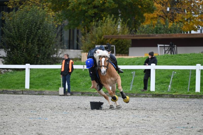 CS-2024.10.20-NPZ-Berne-Fred-245