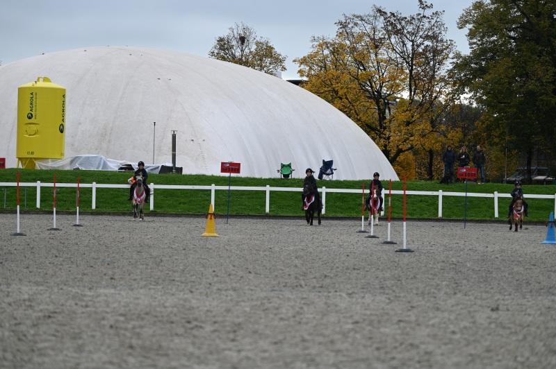 CS-2024.10.20-NPZ-Berne-Fred-299