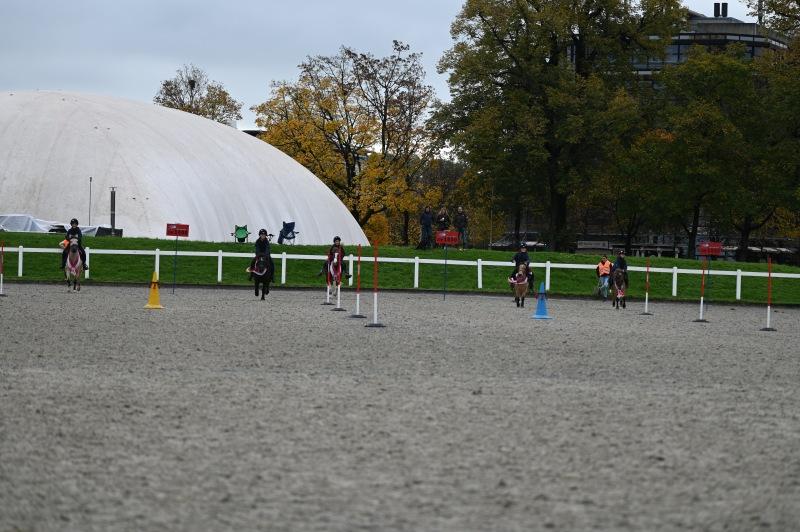 CS-2024.10.20-NPZ-Berne-Fred-301