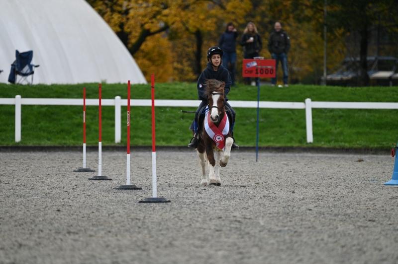 CS-2024.10.20-NPZ-Berne-Fred-304