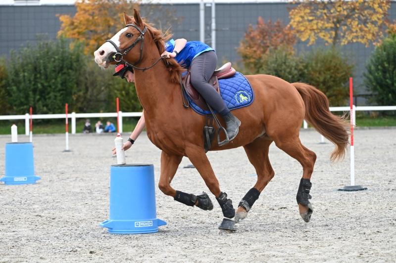 CS-2024.10.20-NPZ-Berne-Fred-46