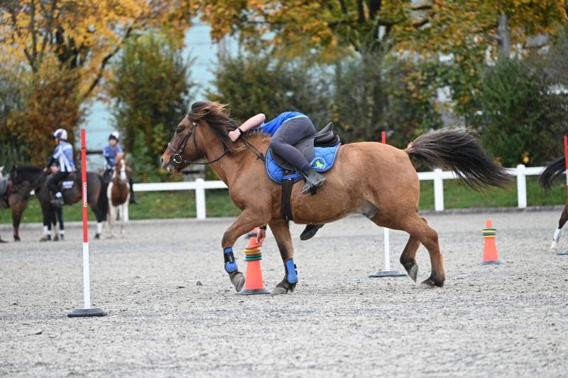 CS-2024.10.20-NPZ-Berne-Fred-72