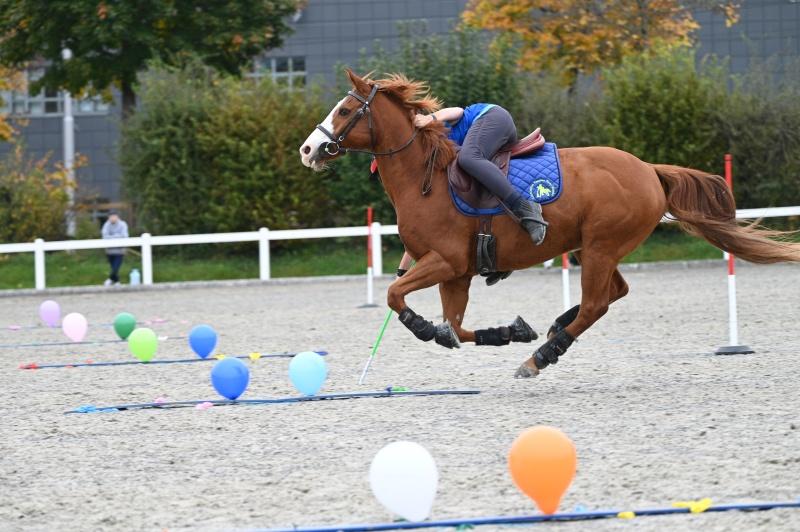 CS-2024.10.20-NPZ-Berne-Fred-99