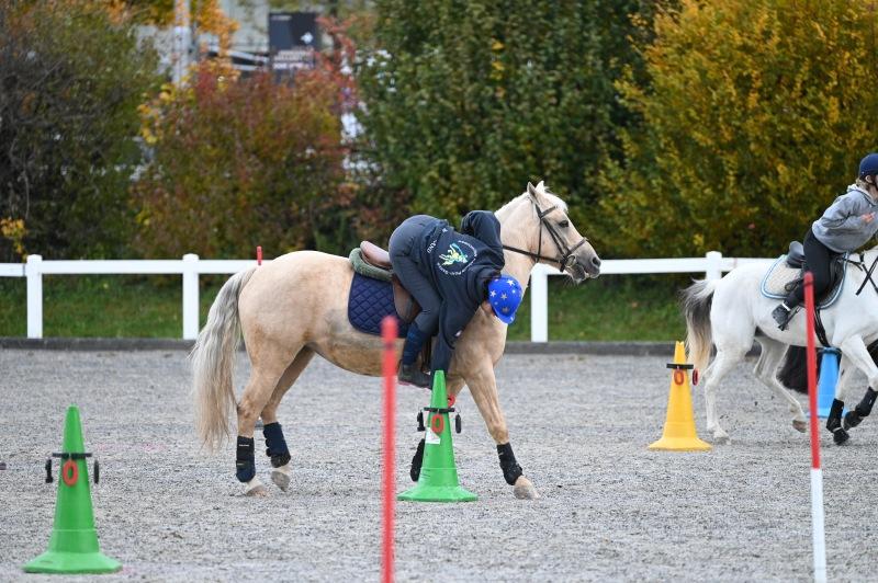 CS-2025.10.26-NPZ-Berne-Blackyland-Fred-1