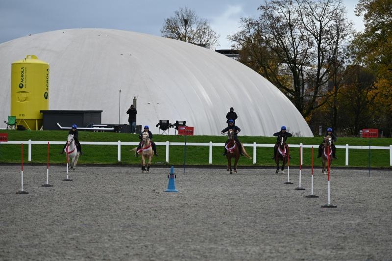 CS-2025.10.26-NPZ-Berne-Blackyland-Fred-103