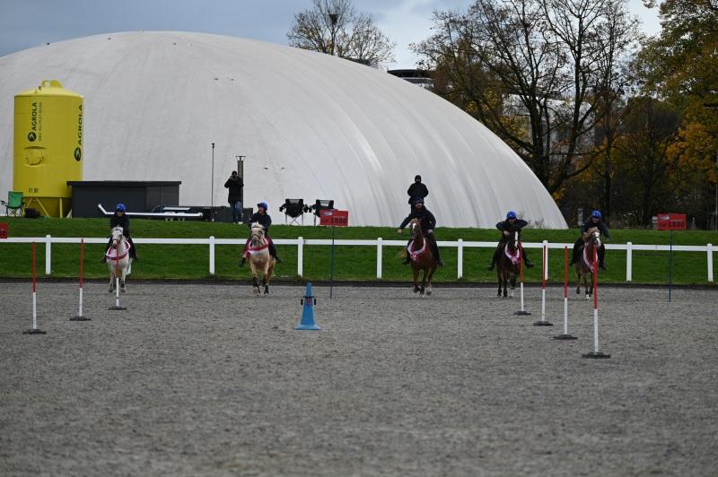 CS-2025.10.26-NPZ-Berne-Blackyland-Fred-104