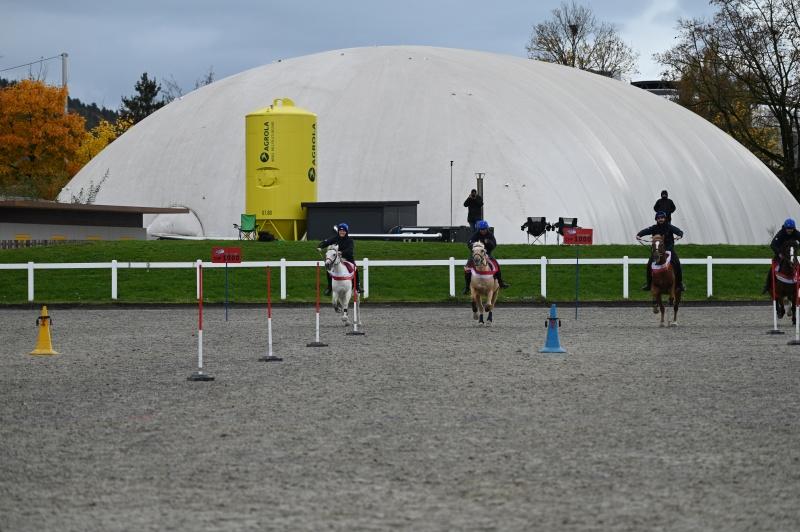 CS-2025.10.26-NPZ-Berne-Blackyland-Fred-105