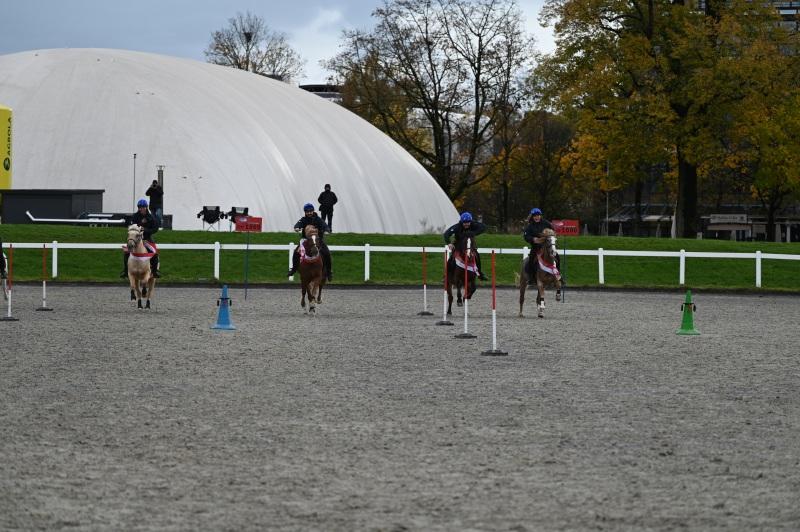 CS-2025.10.26-NPZ-Berne-Blackyland-Fred-106