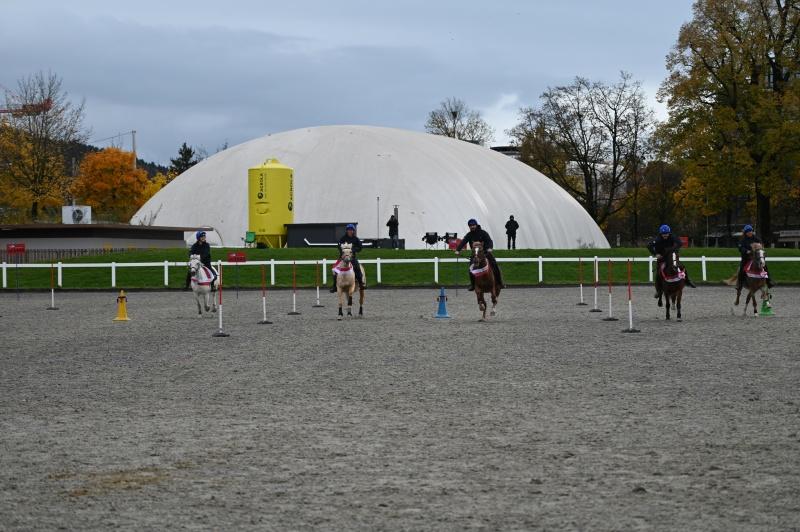 CS-2025.10.26-NPZ-Berne-Blackyland-Fred-108