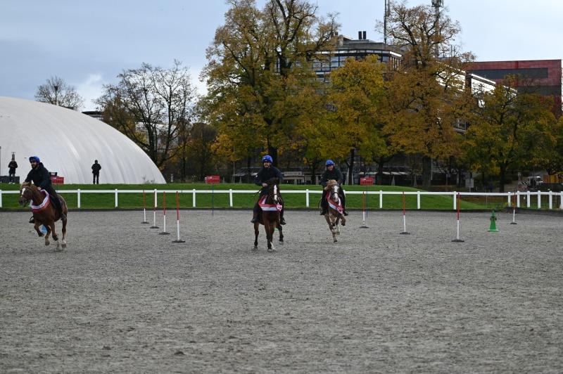 CS-2025.10.26-NPZ-Berne-Blackyland-Fred-109