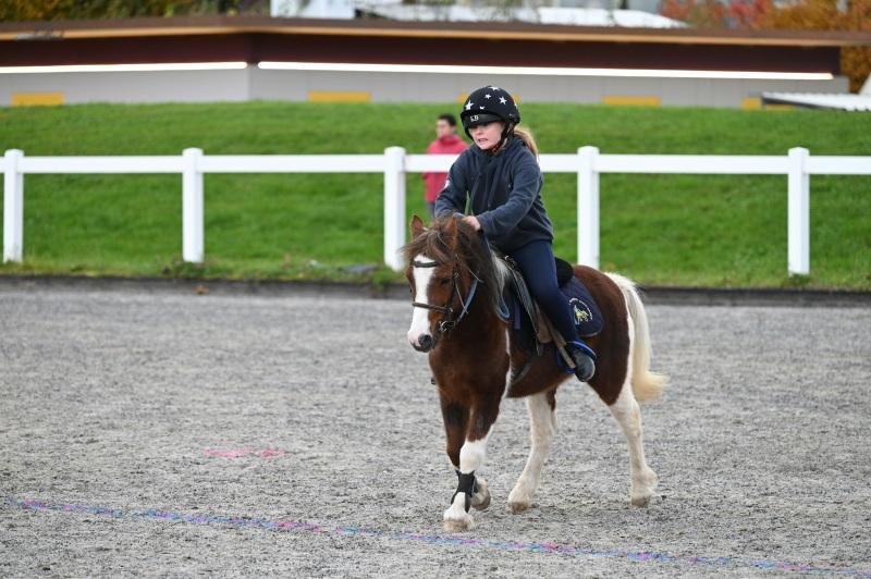 CS-2025.10.26-NPZ-Berne-Blackyland-Fred-11