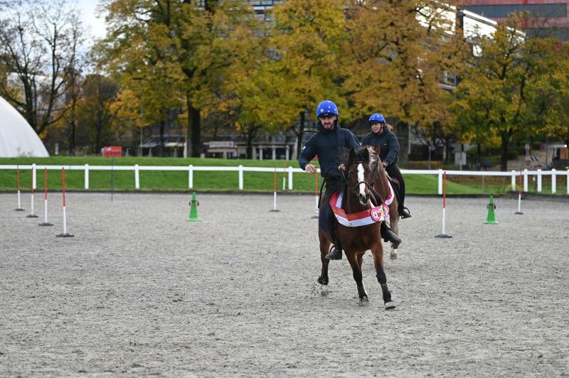 CS-2025.10.26-NPZ-Berne-Blackyland-Fred-111