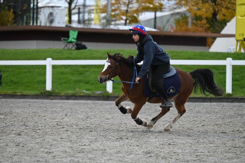 CS-2025.10.26-NPZ-Berne-Blackyland-Fred-124