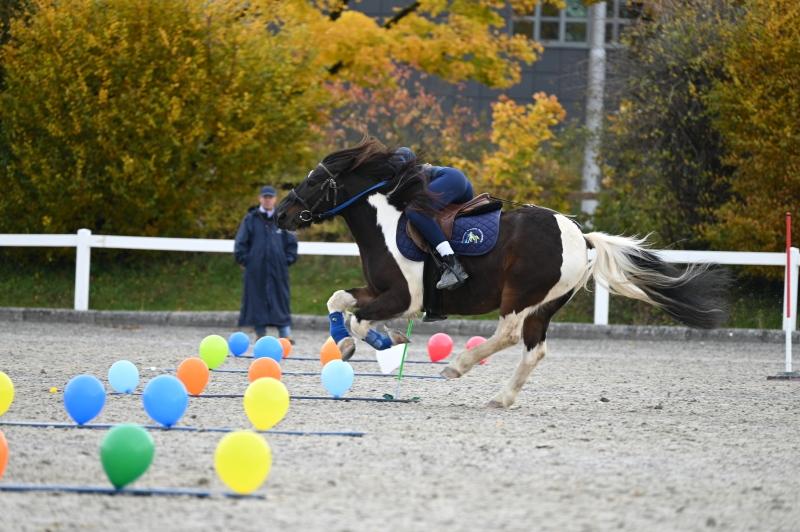 CS-2025.10.26-NPZ-Berne-Blackyland-Fred-137