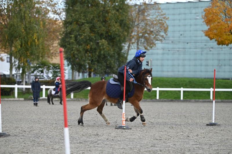 CS-2025.10.26-NPZ-Berne-Blackyland-Fred-157