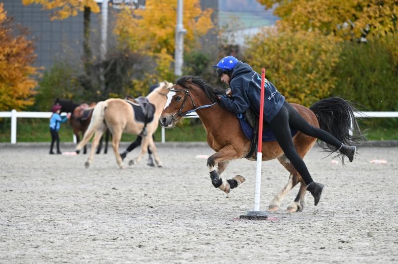 CS-2025.10.26-NPZ-Berne-Blackyland-Fred-158