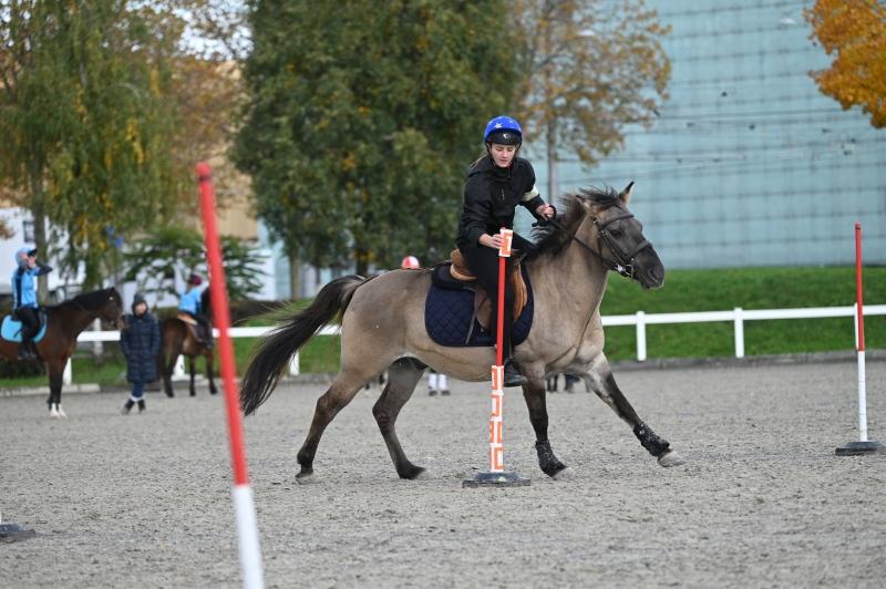 CS-2025.10.26-NPZ-Berne-Blackyland-Fred-163