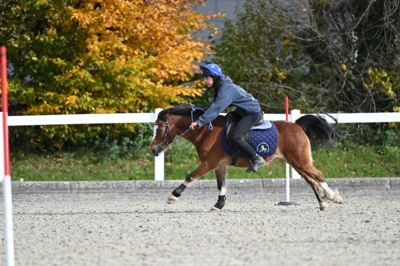 CS-2025.10.26-NPZ-Berne-Blackyland-Fred-176