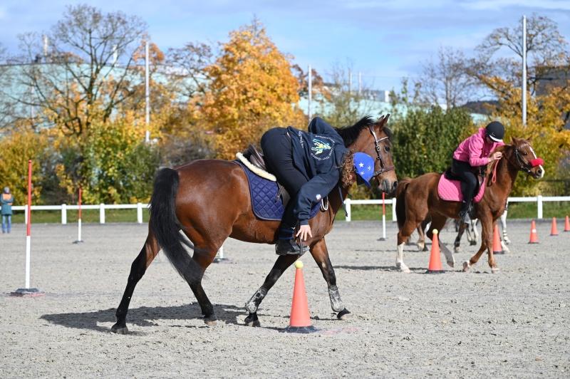 CS-2025.10.26-NPZ-Berne-Blackyland-Fred-179