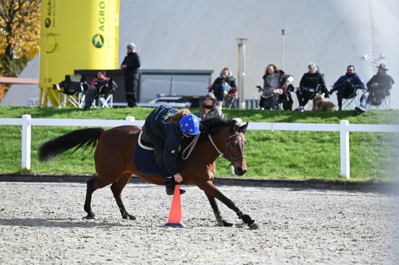 CS-2025.10.26-NPZ-Berne-Blackyland-Fred-180