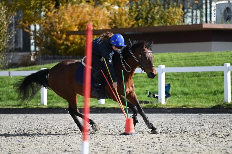 CS-2025.10.26-NPZ-Berne-Blackyland-Fred-190