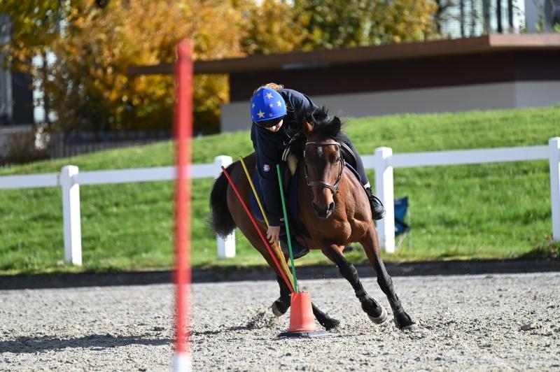 CS-2025.10.26-NPZ-Berne-Blackyland-Fred-191