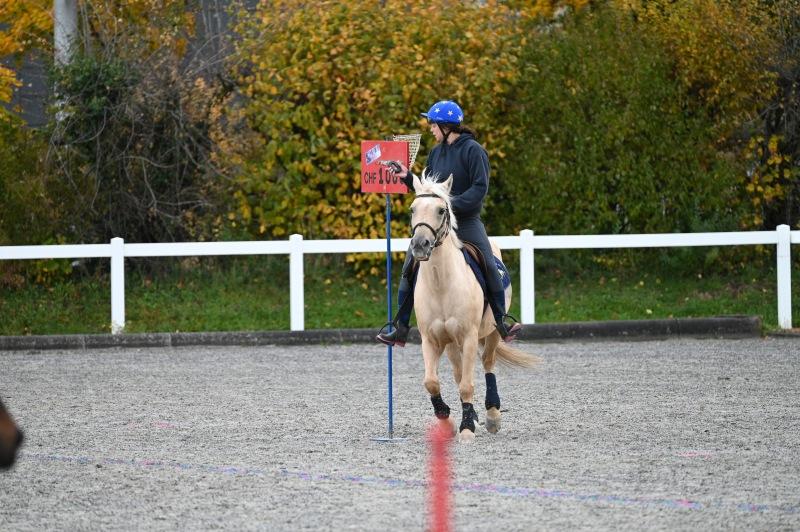 CS-2025.10.26-NPZ-Berne-Blackyland-Fred-2